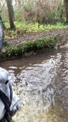 BIONTINA ONC PASSAGE DANS L'EAU