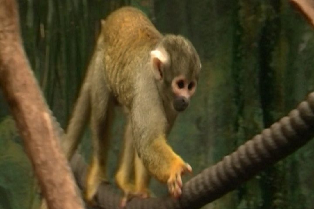 Faunia acoge un taller para concienciar a los más pequeños