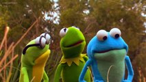 Kermit's Swamp Years Full Movies