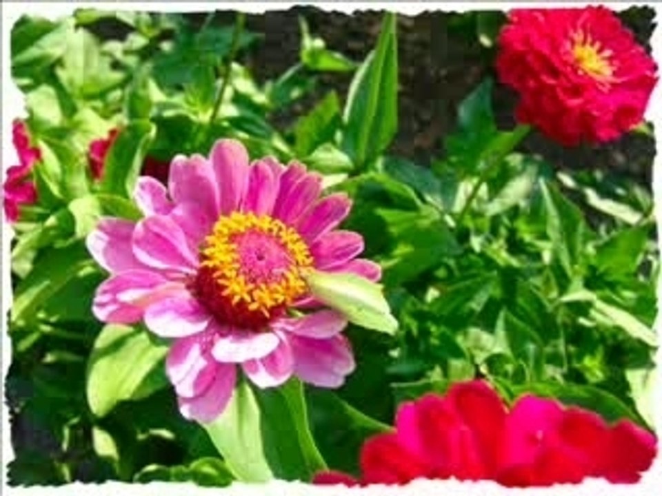 bonne fète maman et toutes les maman