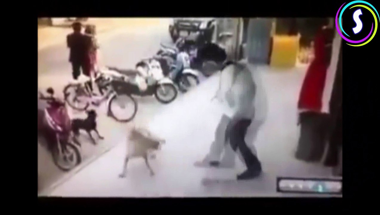 اجمل الطرائف