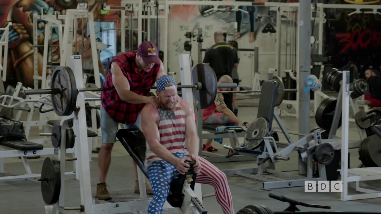 THE GYM WILDLIFE