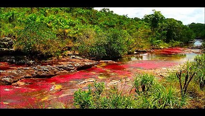 River of Five Colors Colombia Amazing Documentry.