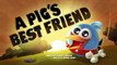 Angry Birds Toons episode 38 sneak peek A Pigs Best Friend