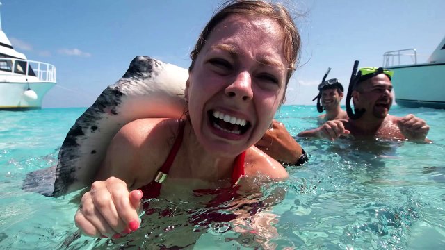 Подборка приколов 2015 #131 Самое смешное видео Fails Compilation 2015 Приколы Прикольное