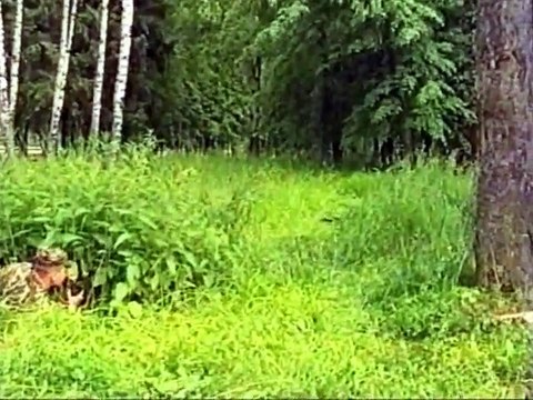 2 Снайпер против снайпера. Захват снайпера разведгруппой.