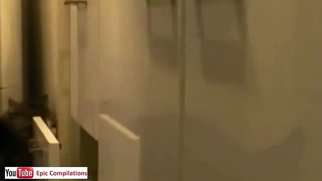 Video Divertenti,Incidenti,barzelletta gatti divertenti 9