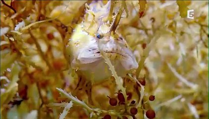 Prédateurs - Le plus grand terrain de chasse