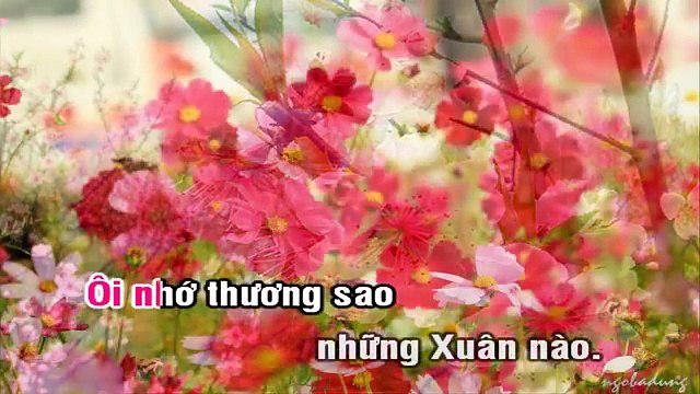 15 - Xuan Nay Con Se Ve - Tuong Nguyen