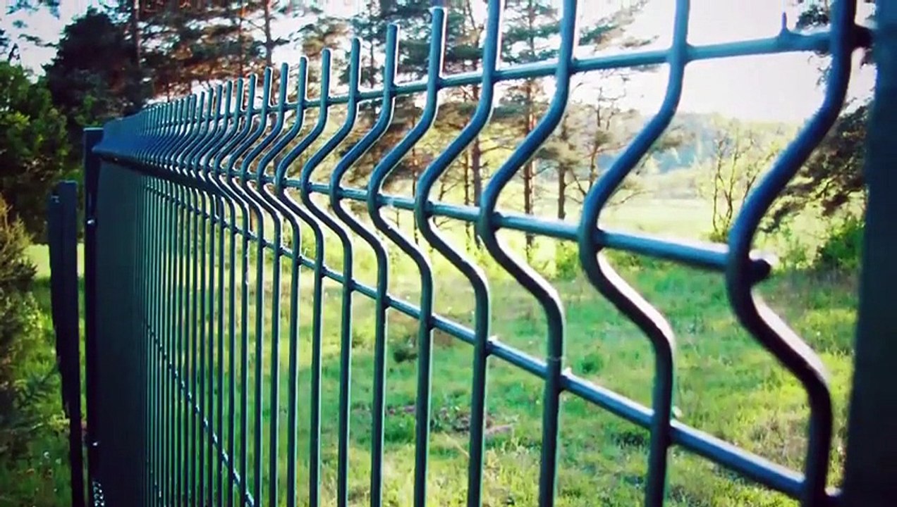 5 ИСТОРИЙ О ЖИВОТНЫХ, СПАСШИХ ЛЮДЕЙ Видео