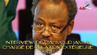 LES IMPRESSIONS DE M JAMMA, LE PEUPLE DJIBOUTIEN DANS LA RUE CONTRE LE 4em MANDAT DE Pr GUELLEH