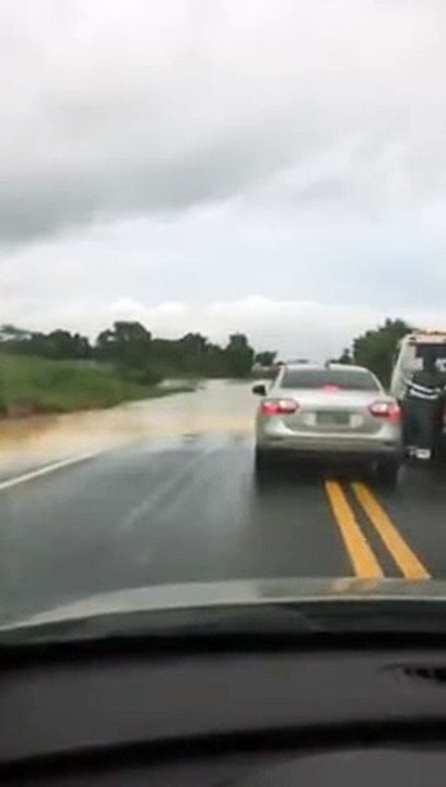 Mãe ensinando filho a dirigir  Celera, celera, celera