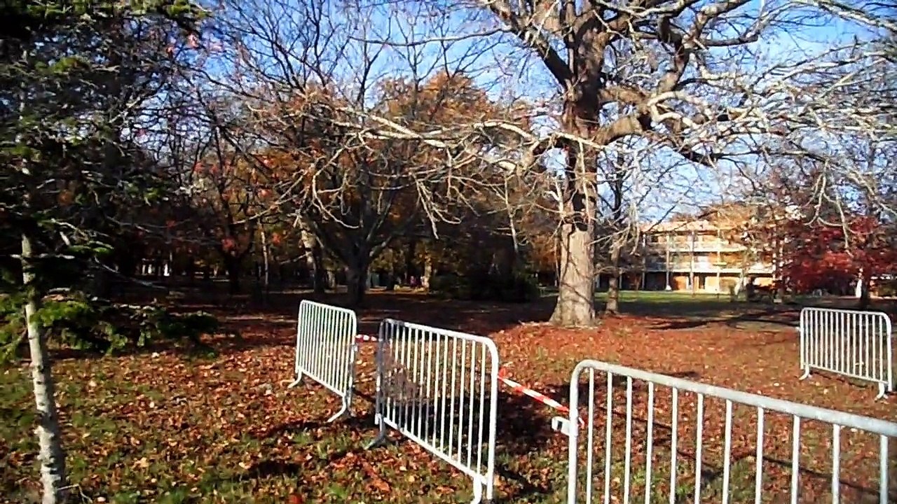 2015-12-06  canimarche au telethon