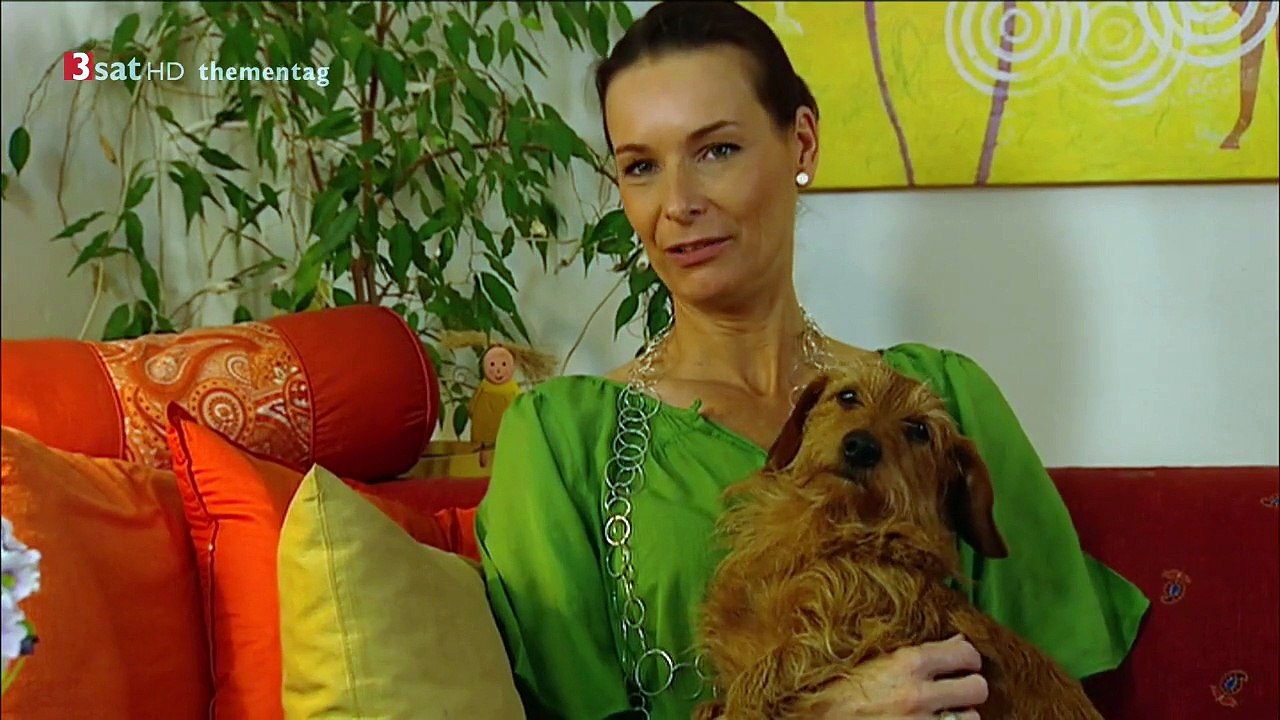 Auf den Hund gekommen