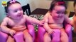 Lucunya Bayi Kembar Ketawa Sampai Menangis - Bikin Bibir Keram _D  By Toba.tv