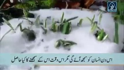 Emotional Heart Wrenching Tilawat e Quran Will Make You Cry