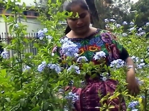 Maria Aurora Chan - Verás la gloria de Dios