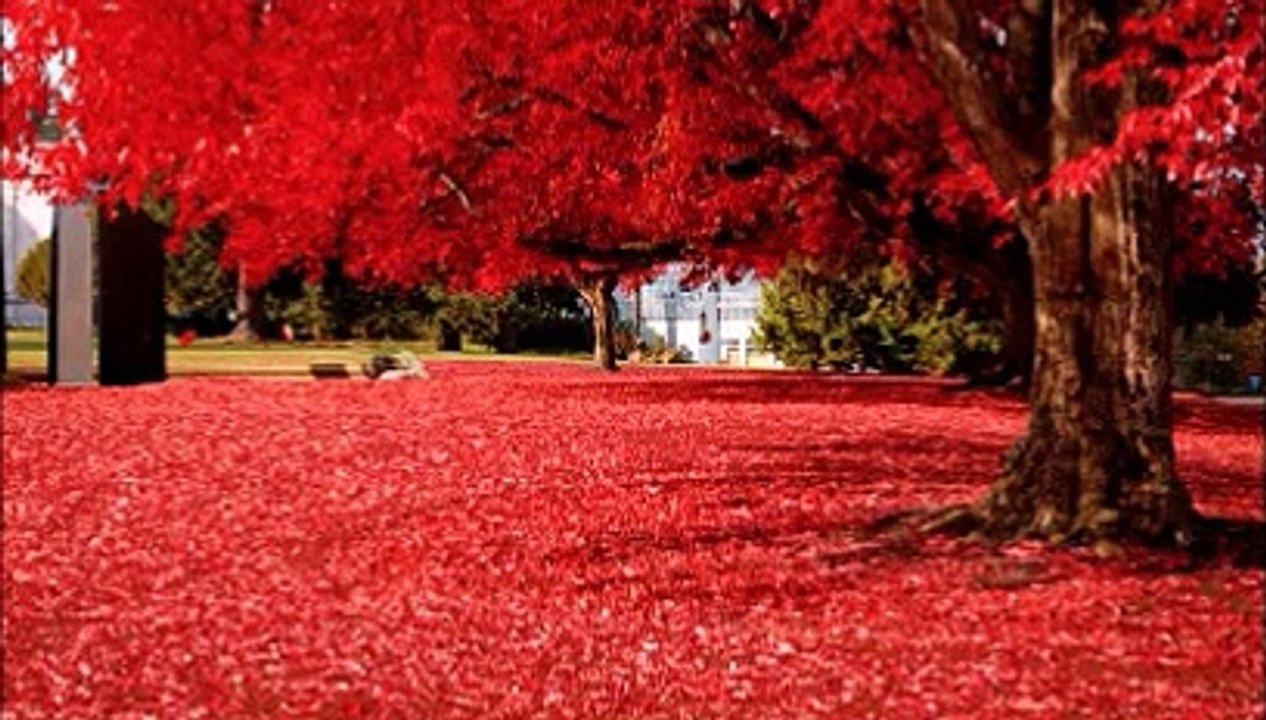 As Melhores Músicas Gospel de 2015 (Parte 4)