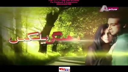 Bheegi Palkein A-Plus Tv Drama Episode 8 Full (01 January 2016)