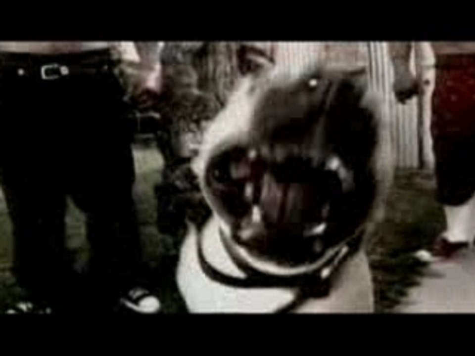 Transplants & Boo-Yaa Tribe - What I can't describe