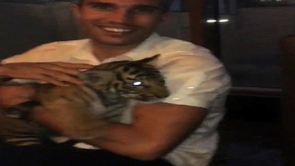 van Persie çıldırmış olmalı!