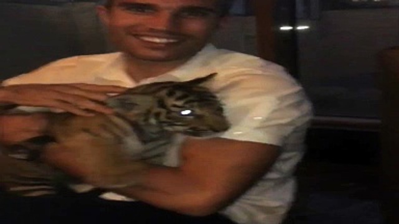 van Persie çıldırmış olmalı!