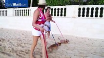 Simon Cowell and Lauren Silverman walk their dogs on beach