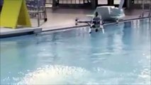 Ce drone volant peut plonger et nager dans l'eau