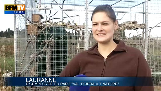 Le zoo de Saint-Thibéry évacue ses animaux après sa liquidation judiciaire