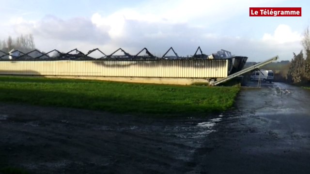 Plumieux (22). Incendie criminel dans un élevage de volailles