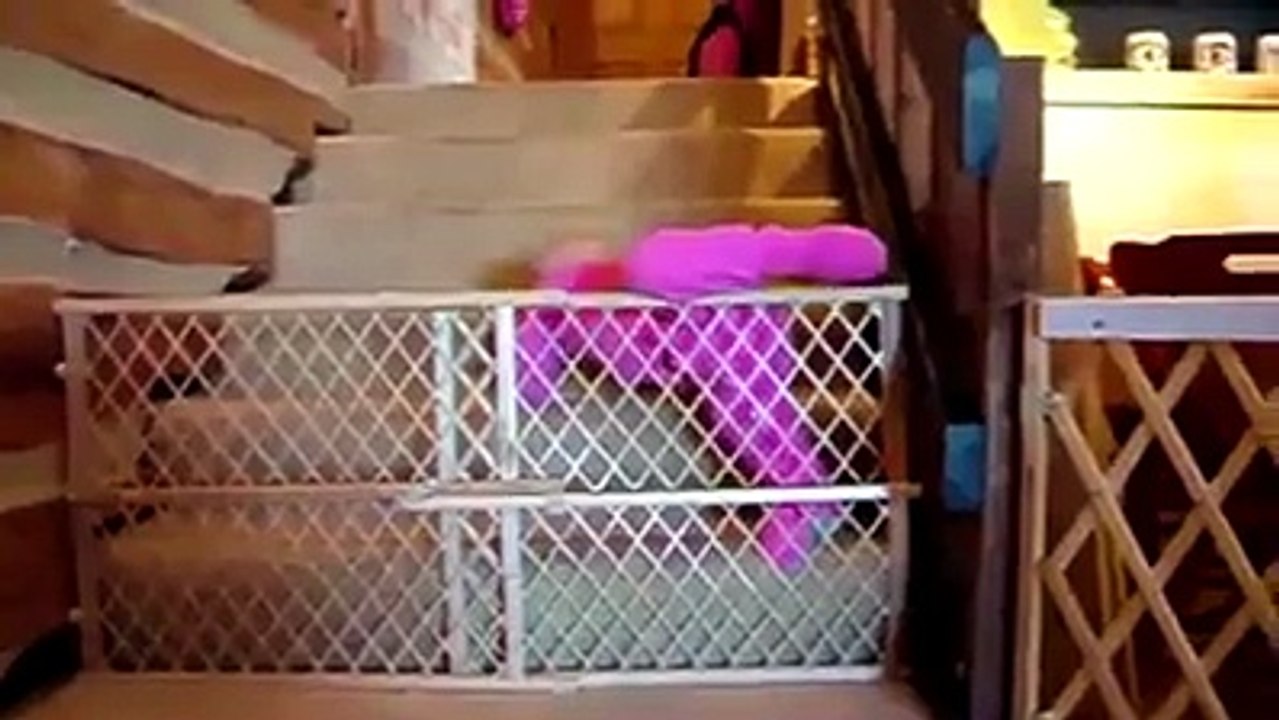 Noty Baby |Funny Work