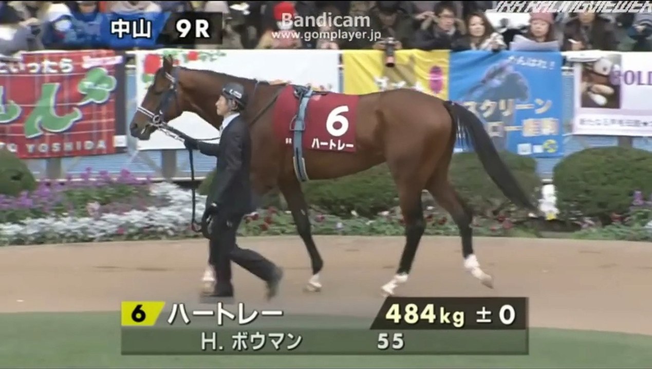 ホープフルS  2015   元馬術選手のコラム