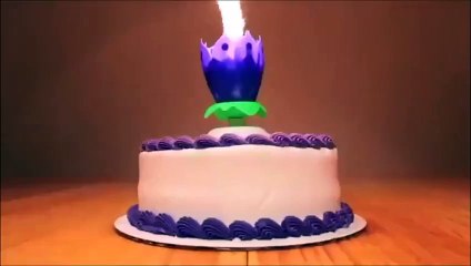 Amazing Birthday Cake.. What a Great Gift