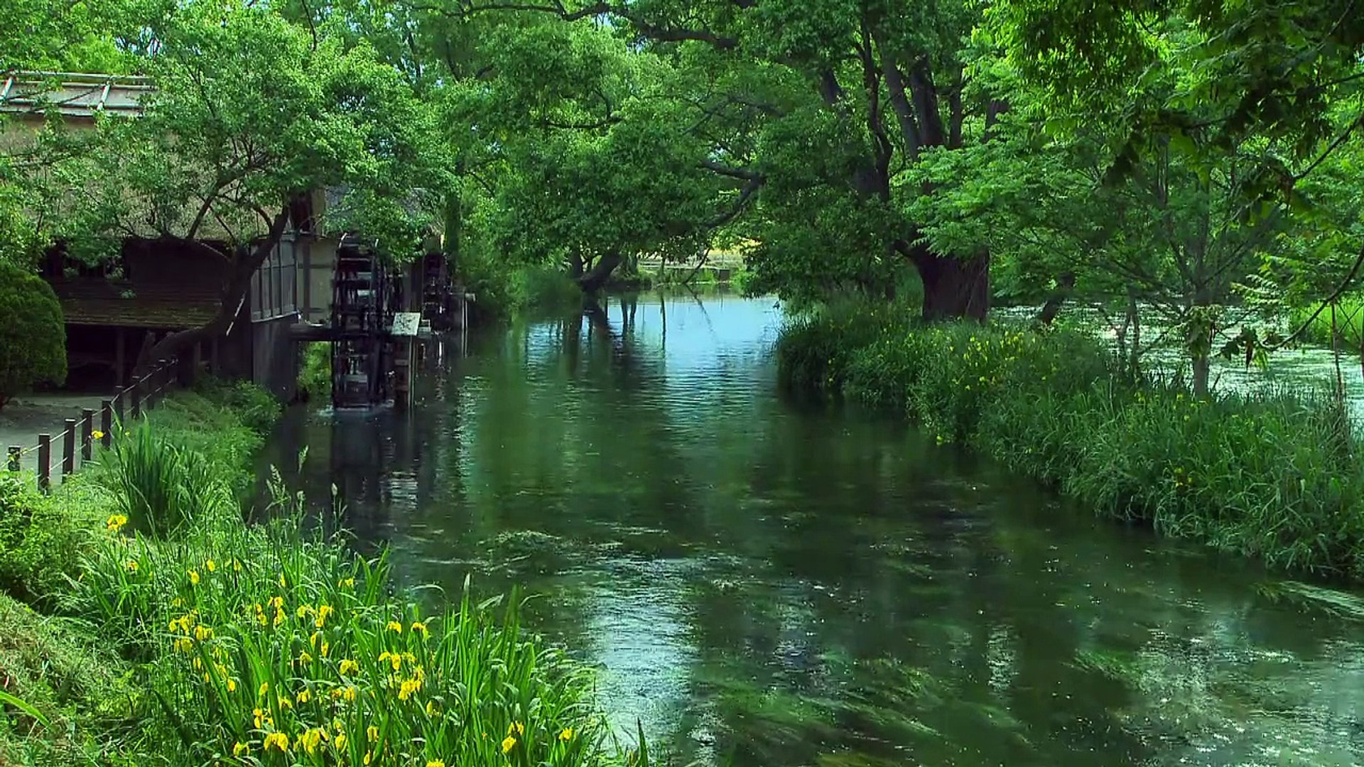 ⁣Nature Sounds River Sounds〜Calming