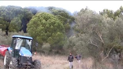 Gelibolu Yarımadası'nda Orman Yangını