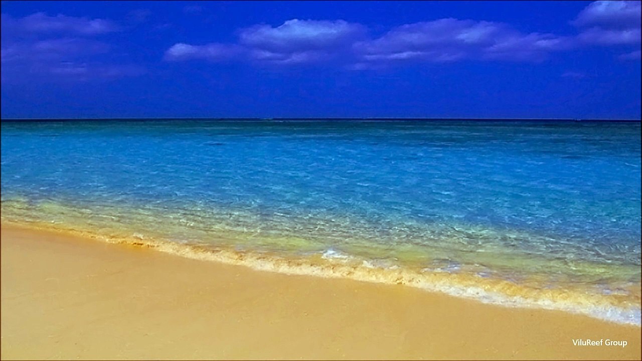 風鈴の音色と波の音【作業用・勉強用BGM】/NATURE SOUNDS/Sea and wind Chime