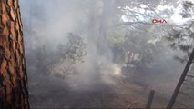 Çanakkale Tarihi Gelibolu Yarımadası'nda Korkutan Orman Yangını