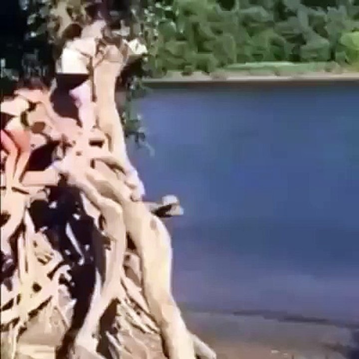 Funny Video