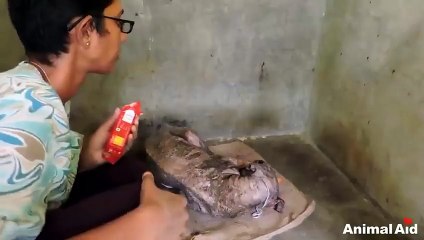 Dünyada Halen İyi İnsanlar Var Olduğunun Kanıtı