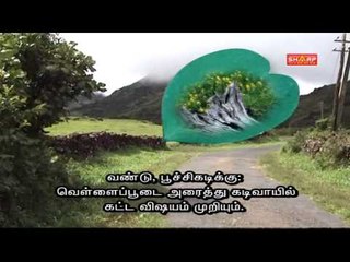 siddha tips for any allergy