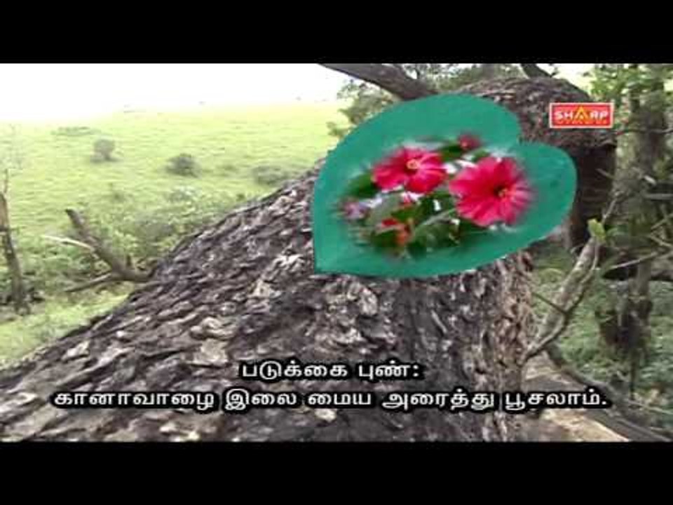 sidha Tips