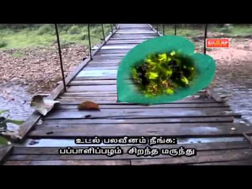 sidha tips for health