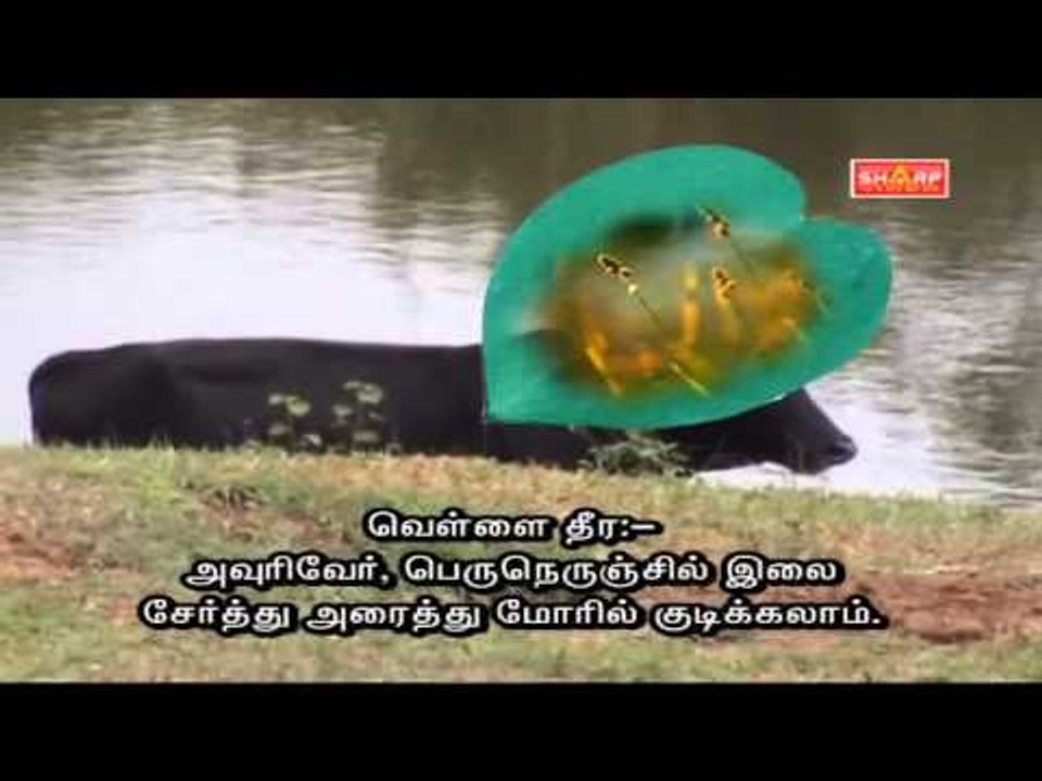 sidha tips for ladies