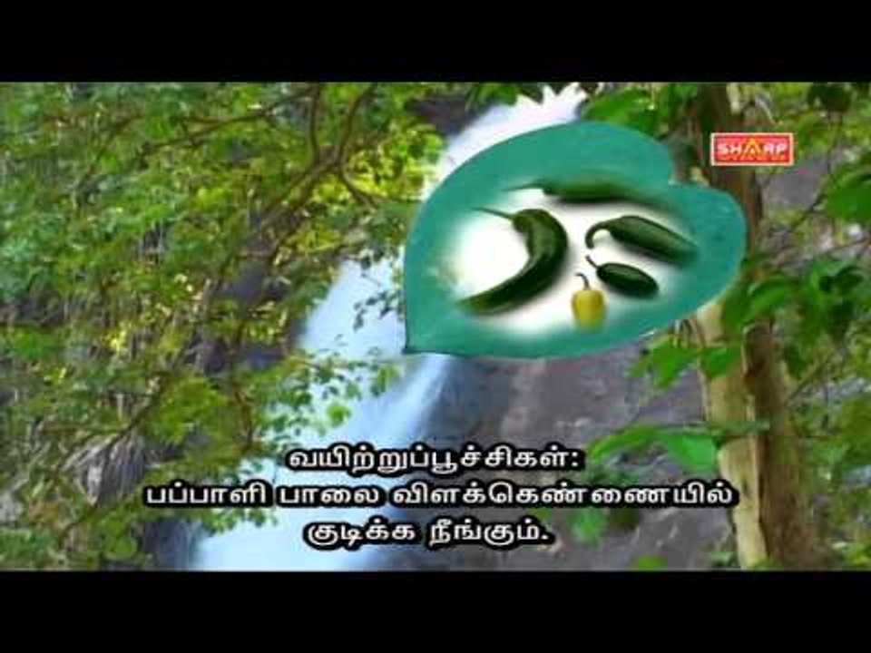 sidha tips for stomach
