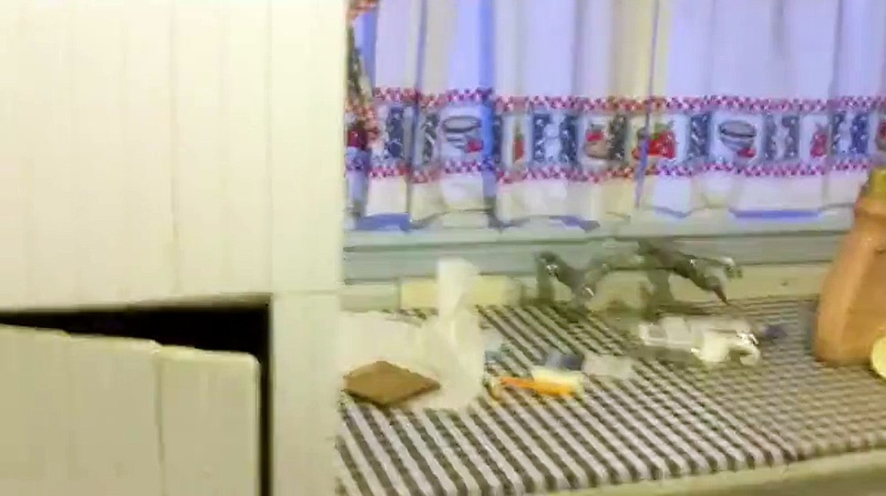 Selling a House in Probate Sacramento Call (209)481-7780 We Buy Houses Sacramento CA