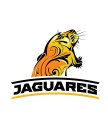 Back de la presentación de Jaguares, la franquicia argentina que competirá en el Super Rugby.