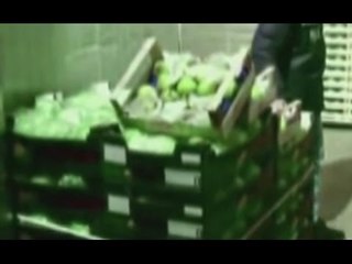 "Autunno sicuro", controlli a tappeto su alimenti e strutture (31.12.15)