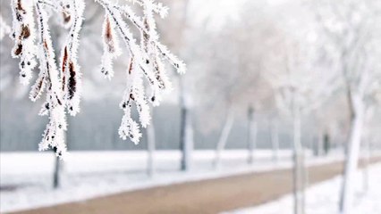 meilleurs voeux pour 2016