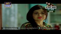 Watch Dil-e-Barbad Episode 174 – 31st December 2015 on ARY Digital