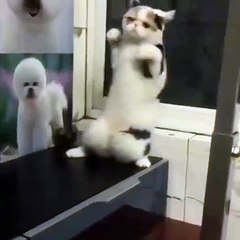 When you hear your favorite music! :)